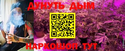 гидропоника Пугачёв